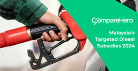 Targeted Diesel Subsidies: Who is Affected?
